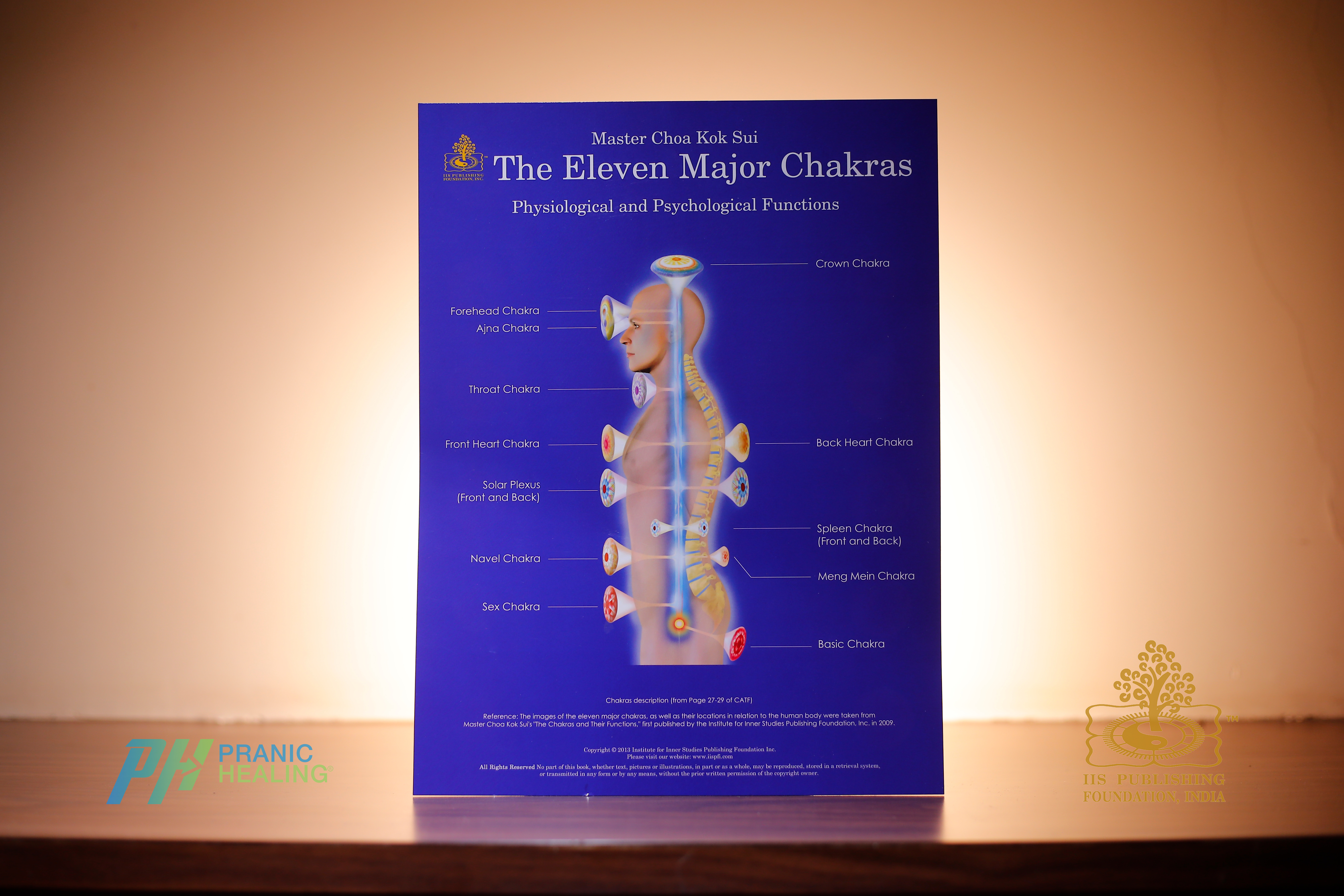 Eleven Major Chakras - Small Poster