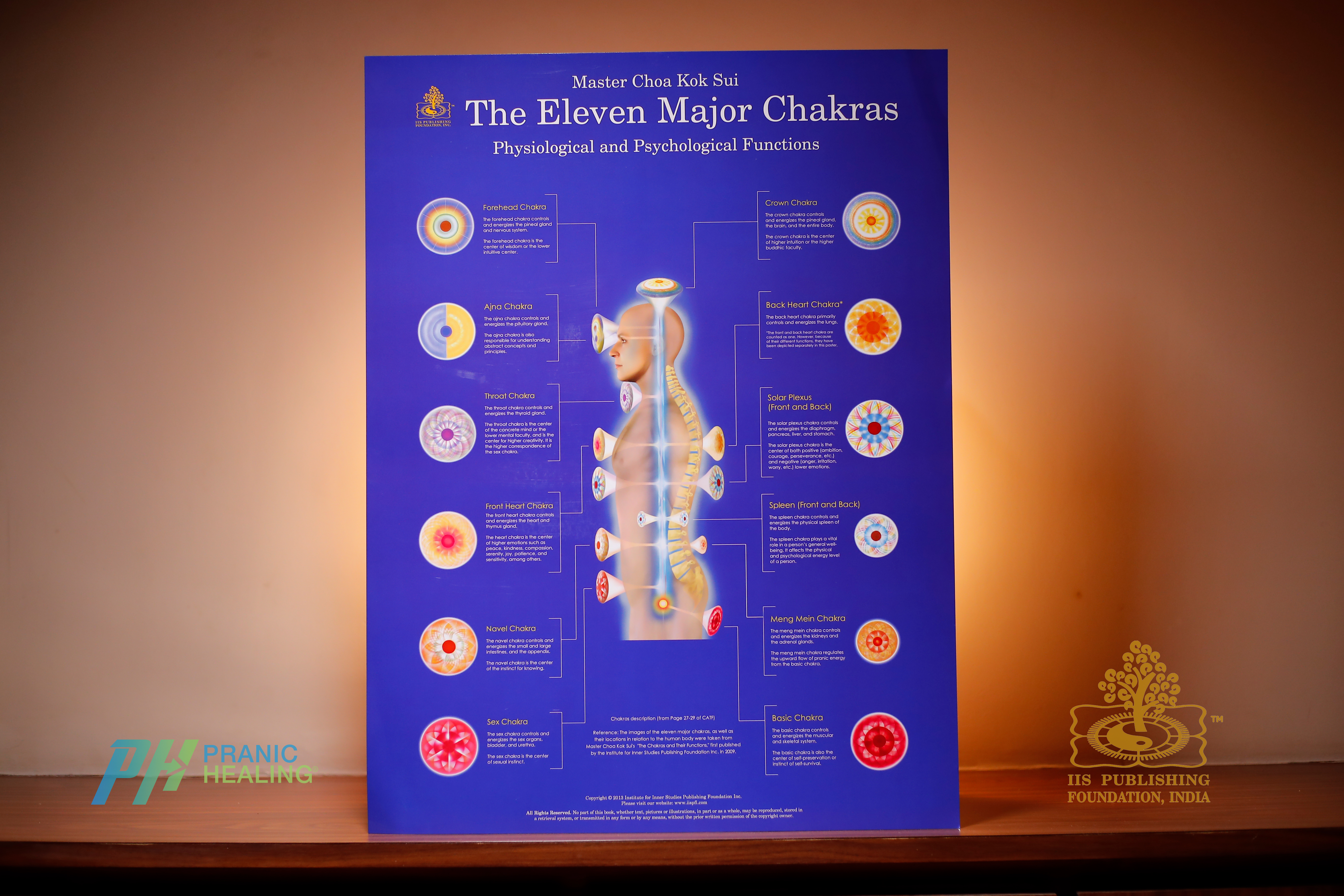 Eleven Major Chakras - Big Poster