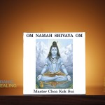 Om Namah Shivaya Om